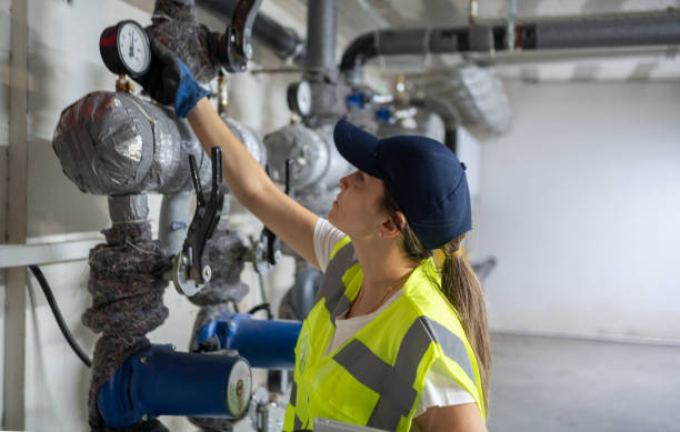 Best Local Plumber Services  in Harrington, DE